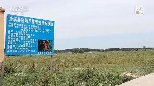 千亩耕地污染：良田可养万代人 千万利润能缴几年？