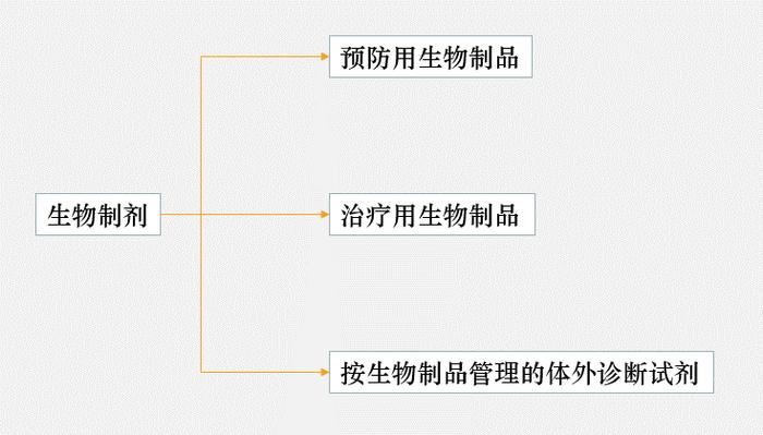 药品注册 | 生物药申报资料要求