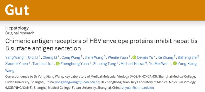 Gut｜复旦大学王勇翔/袁正宏：发现抑制乙肝表面抗原分泌的新策略