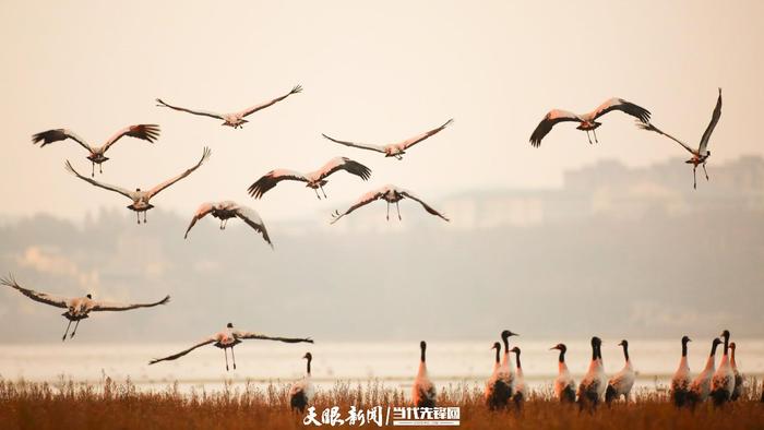 当“落霞与孤鹜齐飞”照进现实 原来诗文里的美景真的存在！