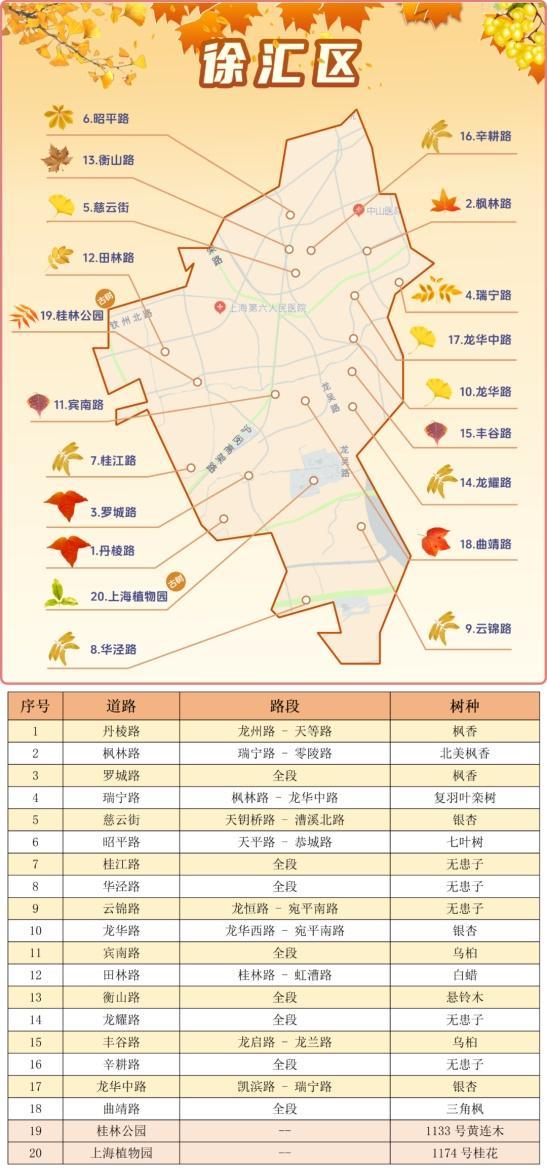 一年好景君须记，最是橙黄橘绿时！来看魔都赏秋必备地图→