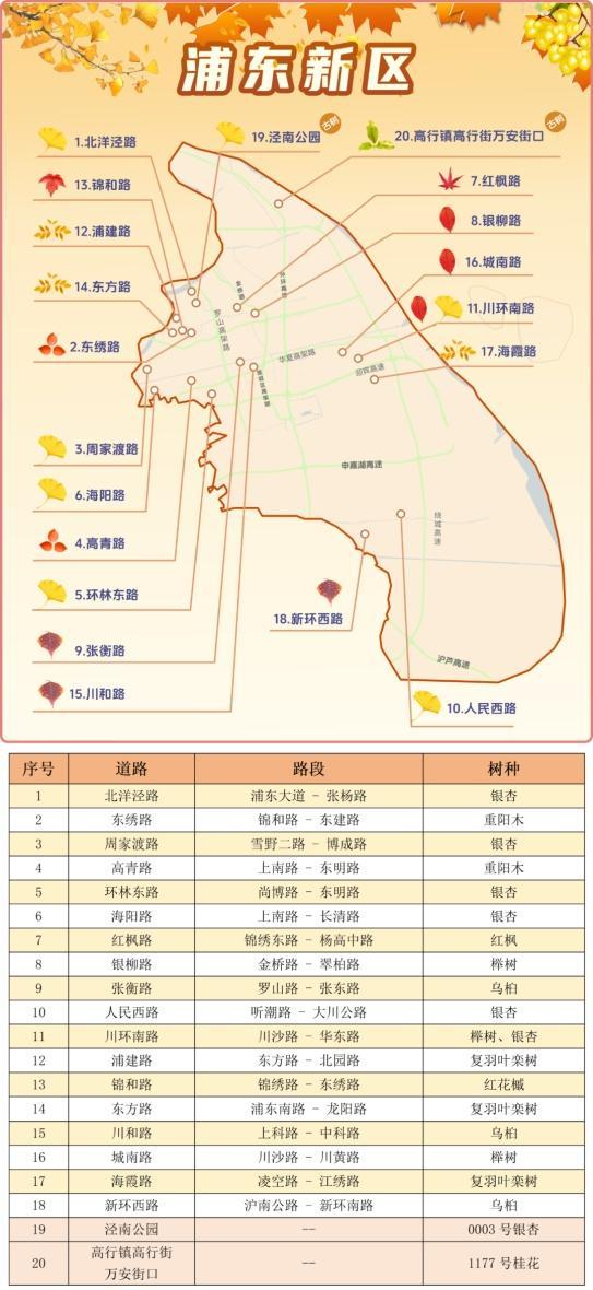 一年好景君须记，最是橙黄橘绿时！来看魔都赏秋必备地图→