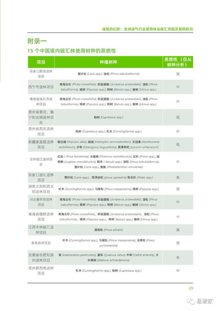 《减排的幻影：全球油气行业使用林业碳汇风险及案例研究》报告发布