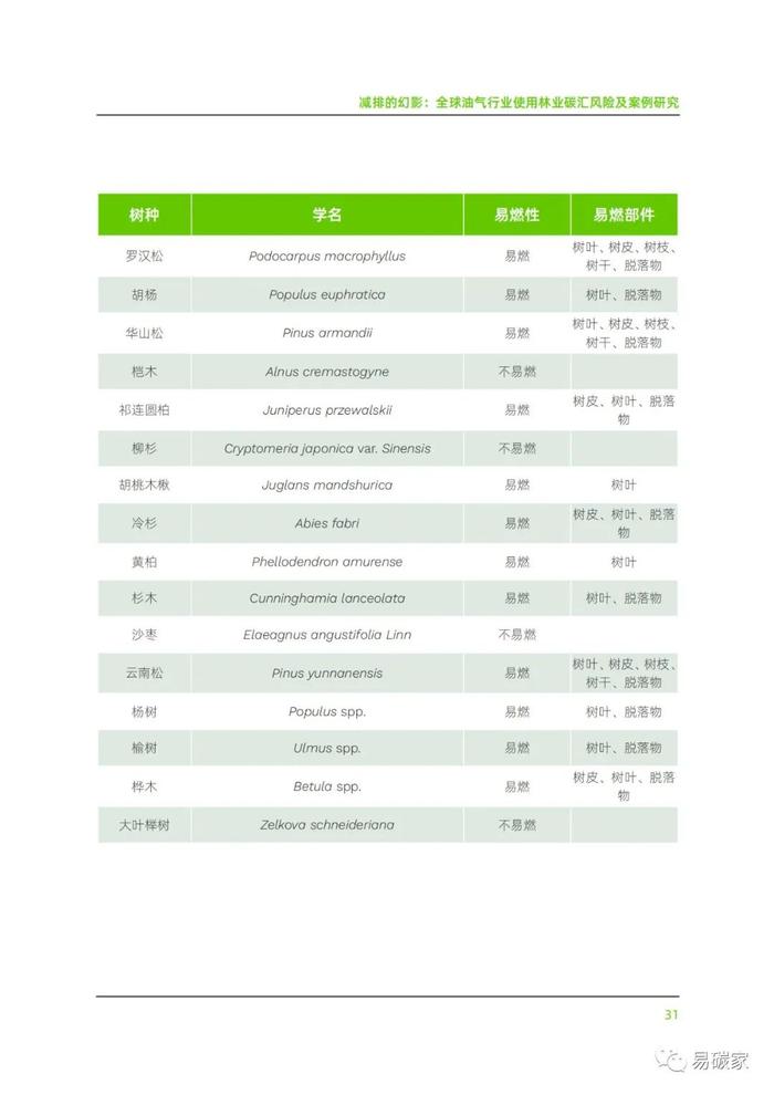 《减排的幻影：全球油气行业使用林业碳汇风险及案例研究》报告发布