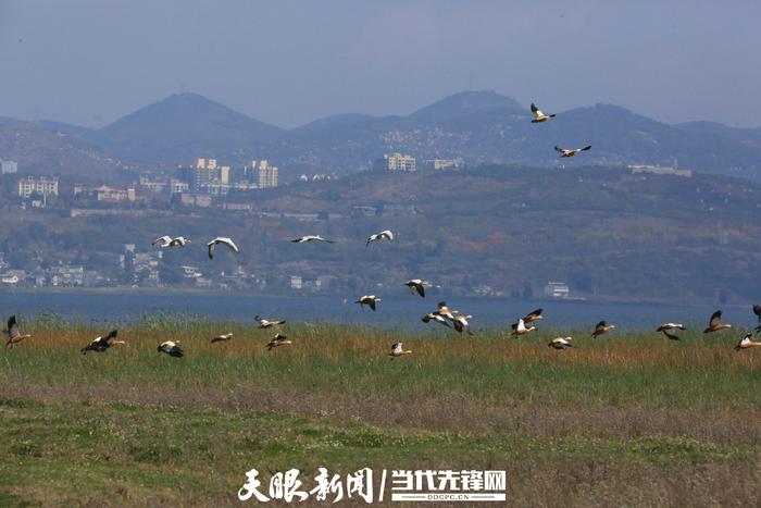 当“落霞与孤鹜齐飞”照进现实 原来诗文里的美景真的存在！