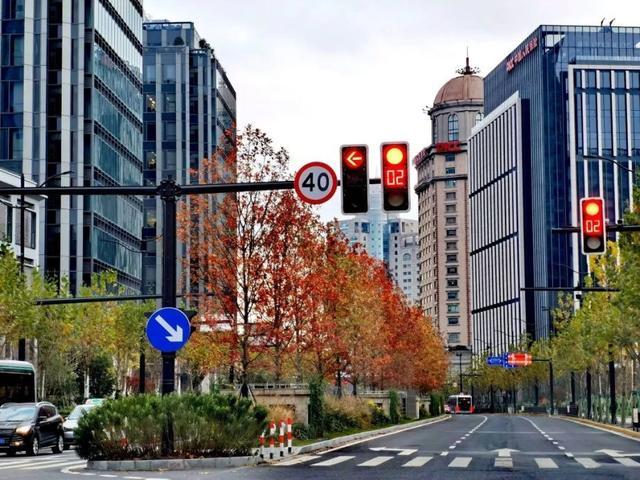 一年好景君须记，最是橙黄橘绿时！来看魔都赏秋必备地图→