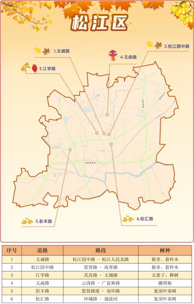 一年好景君须记，最是橙黄橘绿时！来看魔都赏秋必备地图→