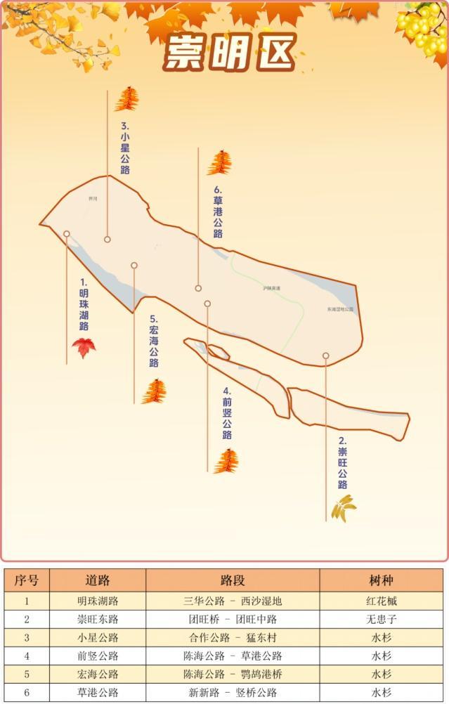 一年好景君须记，最是橙黄橘绿时！来看魔都赏秋必备地图→