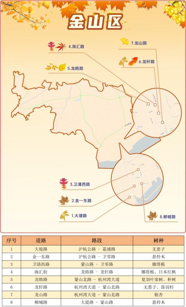 一年好景君须记，最是橙黄橘绿时！来看魔都赏秋必备地图→