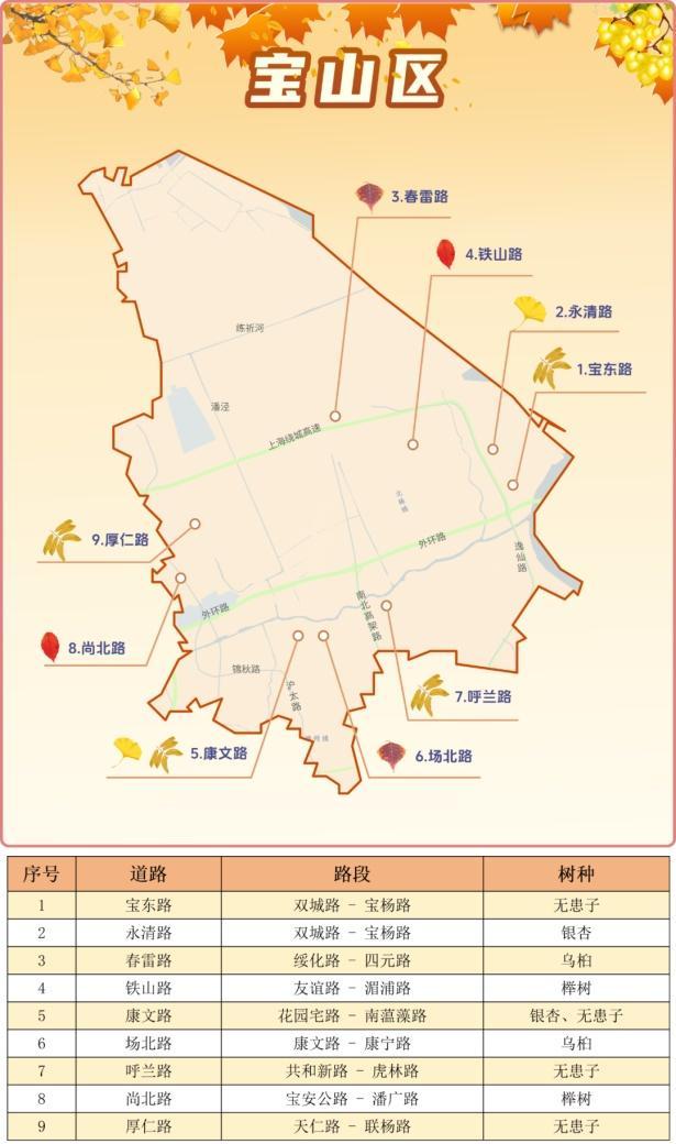 一年好景君须记，最是橙黄橘绿时！来看魔都赏秋必备地图→