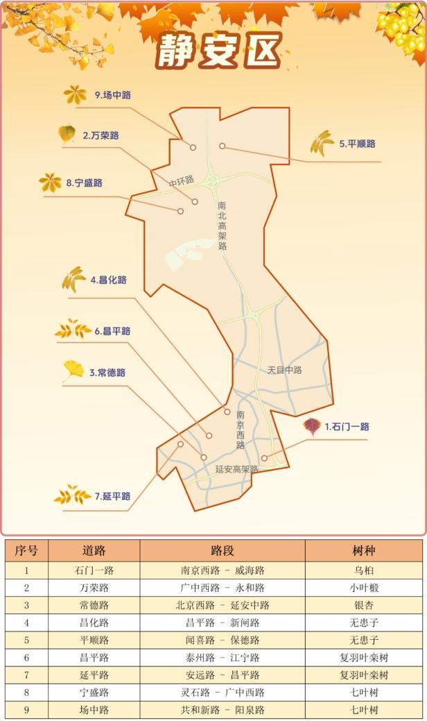 一年好景君须记，最是橙黄橘绿时！来看魔都赏秋必备地图→