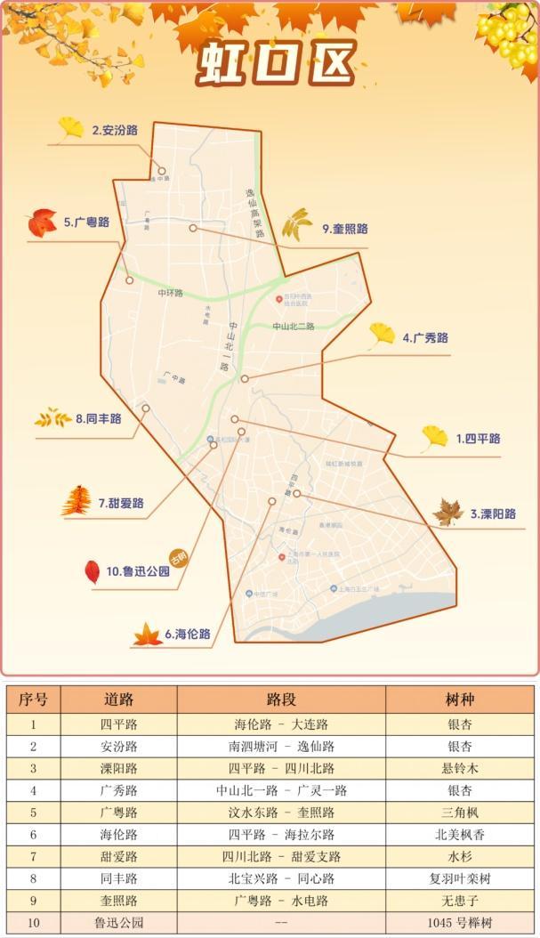 一年好景君须记，最是橙黄橘绿时！来看魔都赏秋必备地图→