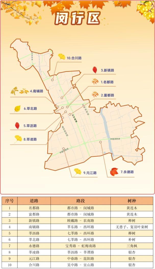 一年好景君须记，最是橙黄橘绿时！来看魔都赏秋必备地图→