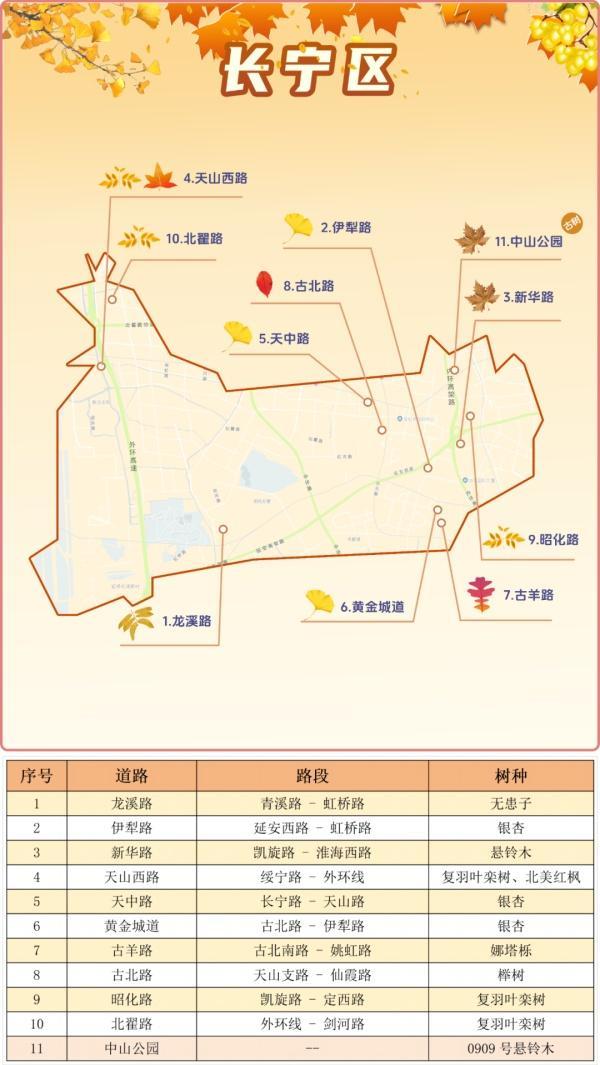 一年好景君须记，最是橙黄橘绿时！来看魔都赏秋必备地图→