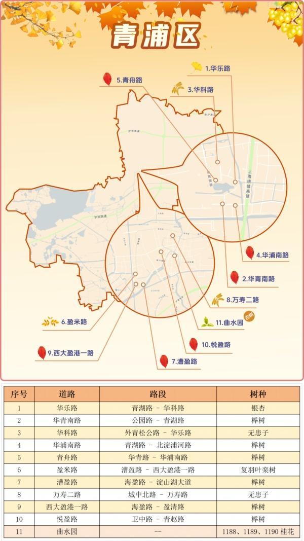 一年好景君须记，最是橙黄橘绿时！来看魔都赏秋必备地图→