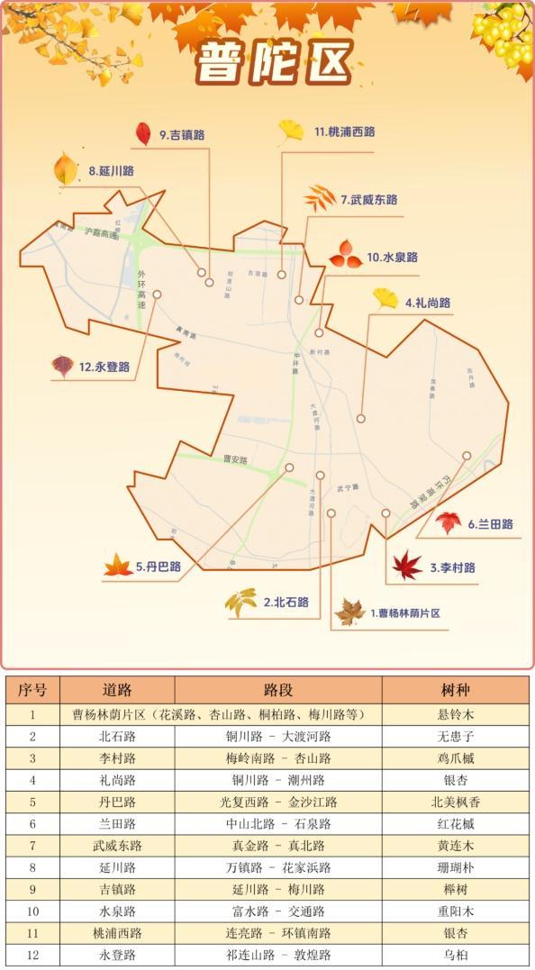 一年好景君须记，最是橙黄橘绿时！来看魔都赏秋必备地图→