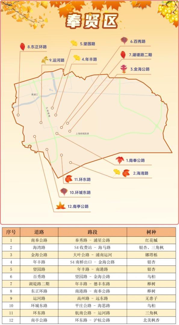 一年好景君须记，最是橙黄橘绿时！来看魔都赏秋必备地图→