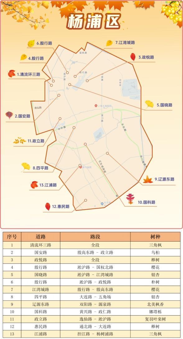 一年好景君须记，最是橙黄橘绿时！来看魔都赏秋必备地图→