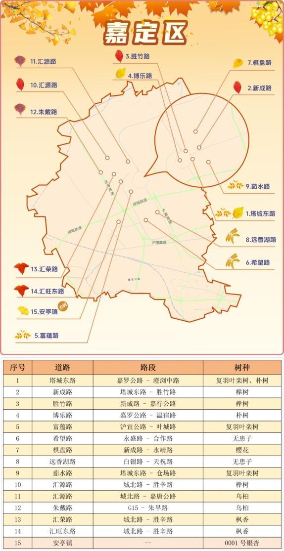 一年好景君须记，最是橙黄橘绿时！来看魔都赏秋必备地图→