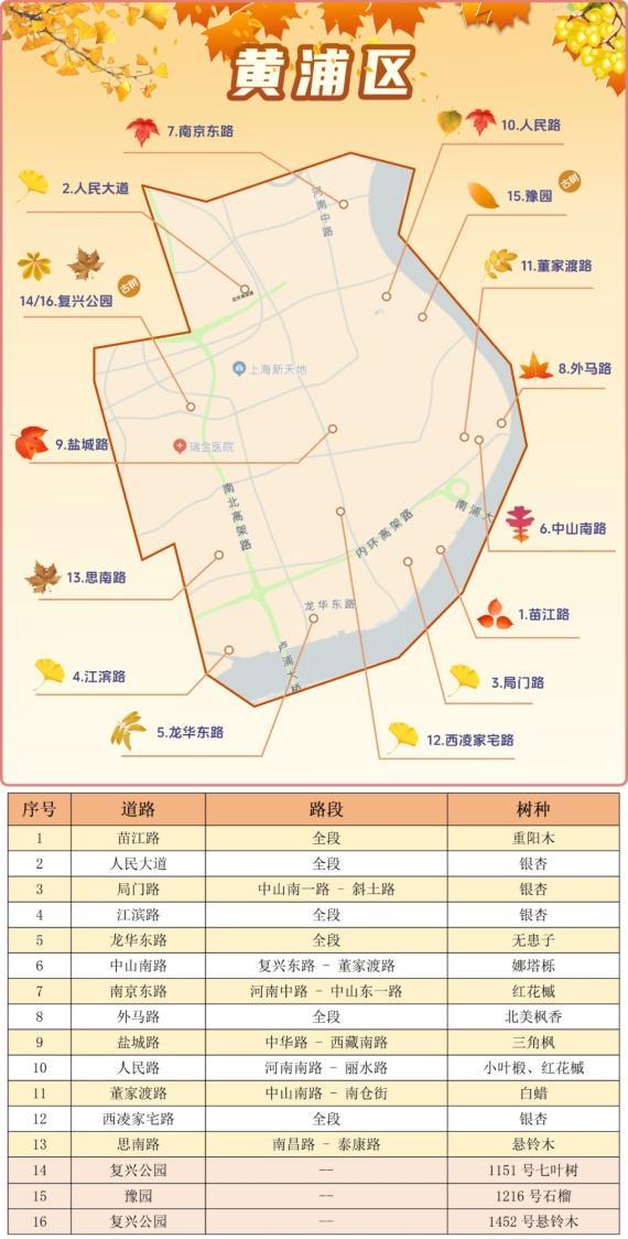 一年好景君须记，最是橙黄橘绿时！来看魔都赏秋必备地图→