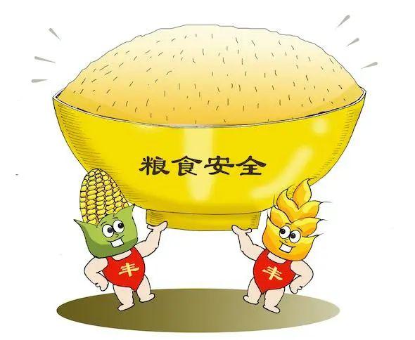 论粮食安全的重要性：为什么要把“饭碗”牢牢端在手里？