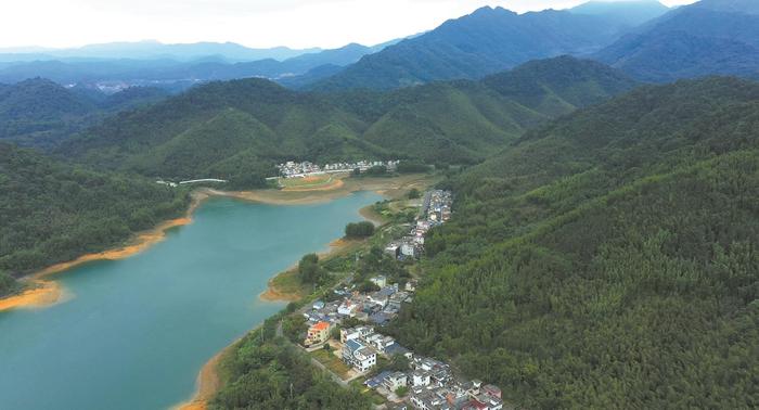 广东生态公益林补偿惠民效应持续上升 广州小山村诠释“靠山吃山”新内涵