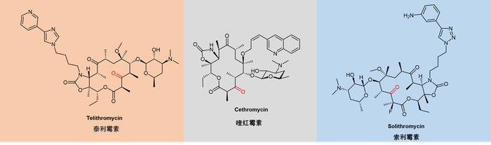 大环内酯（Macrolides）类抗生素药物综述