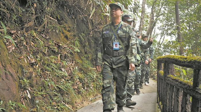 广东生态公益林补偿惠民效应持续上升 广州小山村诠释“靠山吃山”新内涵