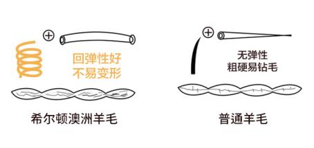 199元入手100%纯羊毛被？？希尔顿这波「羊毛」，不薅实在亏！！