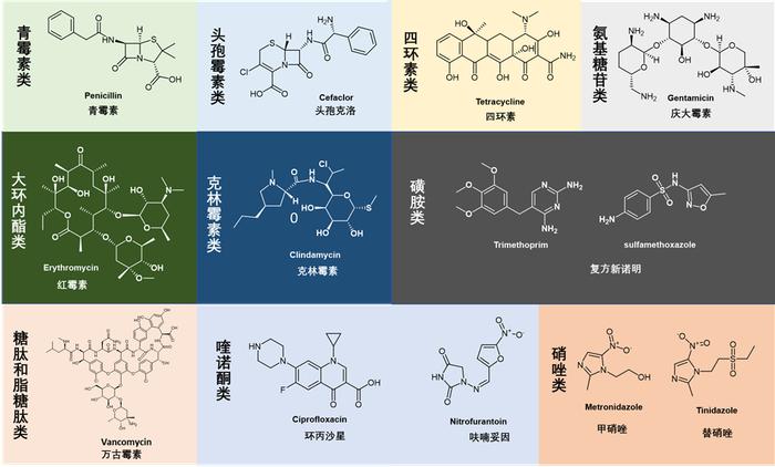 大环内酯（Macrolides）类抗生素药物综述