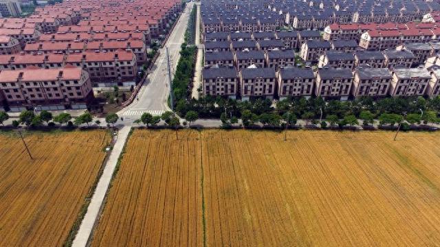 中国社科院学部委员李扬：长三角要继续在城乡一体化中作出全国性贡献