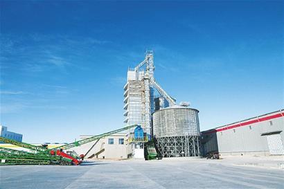 实现收储玉米原粮1.3万吨——孙吴县生物育种种子加工项目完成今年建设任务