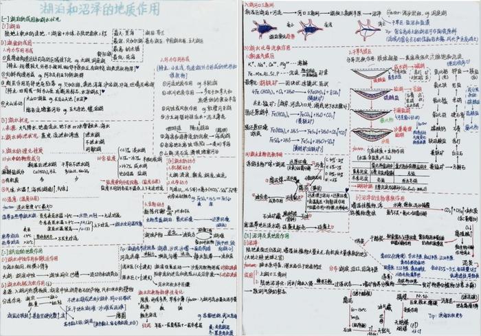 内容极度舒适！高校评选学霸笔记 第一张细节就...