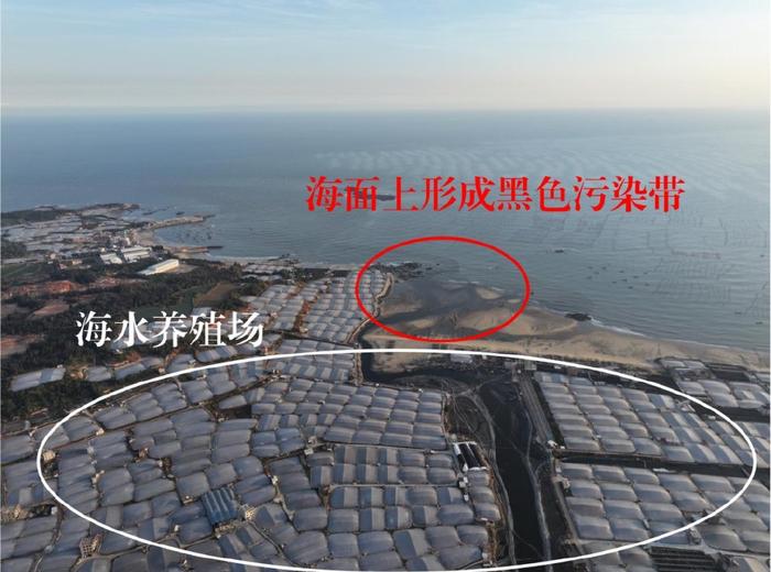 典型案例丨福建省漳州市海洋保护不力 违法违规问题依然存在