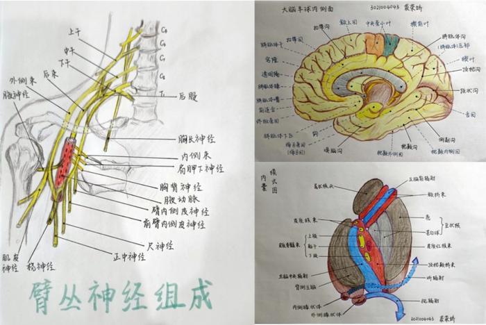 内容极度舒适！高校评选学霸笔记 第一张细节就...