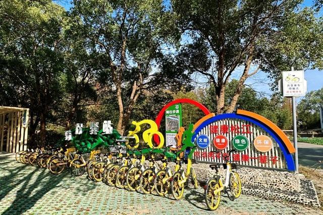 浦南农村首次引进共享单车，可以在千亩涵养林里骑行啦