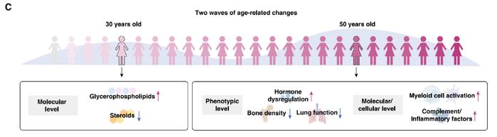 “断崖式衰老”发生在这两个岁数！首个适用于中国女性的“衰老时钟”出炉，比“身份证年龄”更精准