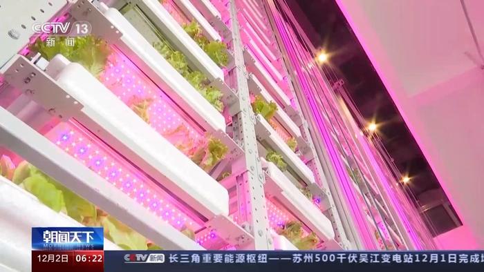 20层“高楼”里种菜！我国自主研发首座无人化垂直植物工厂在成都建成