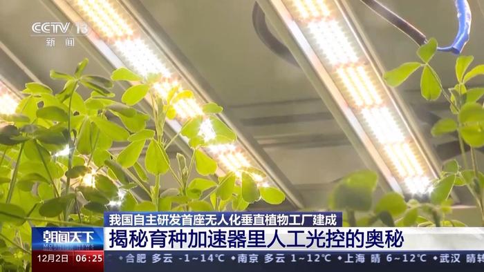 20层“高楼”里种菜！我国自主研发首座无人化垂直植物工厂在成都建成