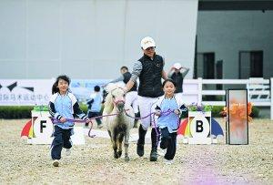 小学生感受 马术运动魅力