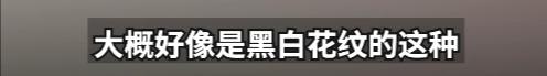 花2500元住上海知名酒店，女子熟睡时被蛇咬伤！