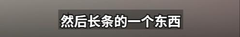 花2500元住上海知名酒店，女子熟睡时被蛇咬伤！