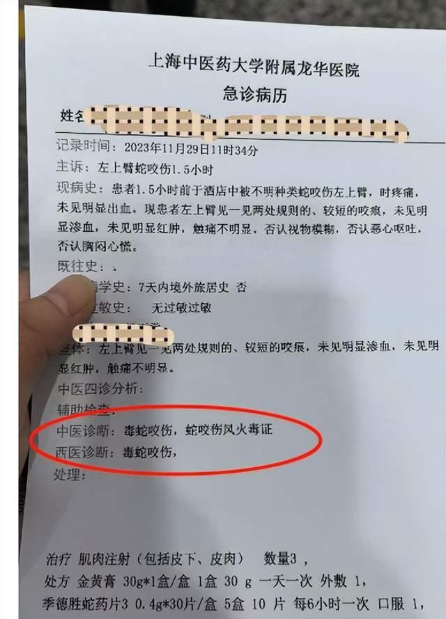 旅客住上海外滩知名酒店被蛇咬伤！酒店回应：对涉事房间已经进行封锁