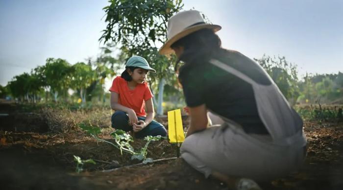 COP28进行时 | WRI声明：百国签署《关于韧性粮食体系、可持续农业及气候行动的阿联酋宣言》，将农食系统提至气候议程核心位置