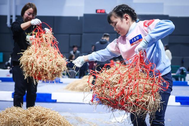 “中国马术第一人”华天：继续冲击巴黎奥运个人赛资格，看好上海马术发展前景