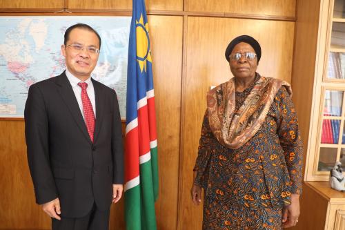 驻纳米比亚大使赵卫平拜会纳副总理兼外长恩代特瓦