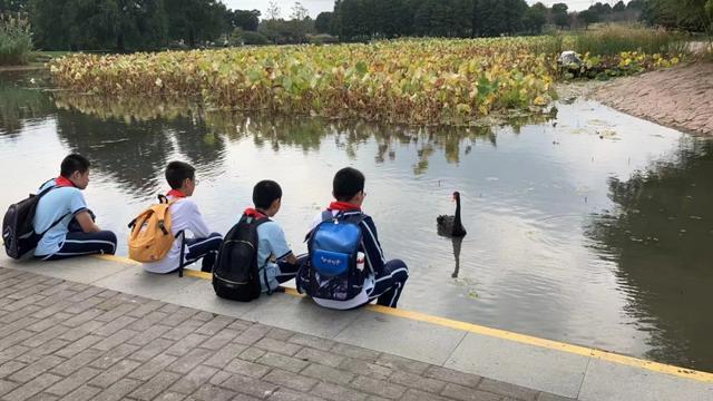 看！杨浦小囡走进大自然感受秋韵