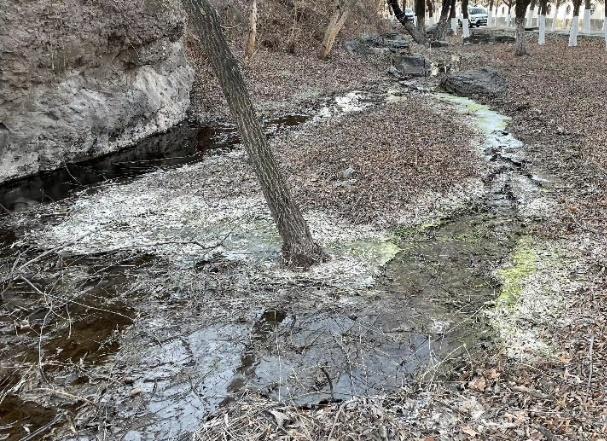 北京市丰台区小龙泉河流域水环境综合治理见成效