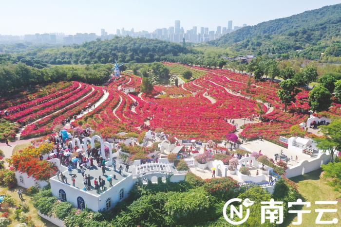 家人们谁懂！南宁这个地方是我超爱的“花花世界”