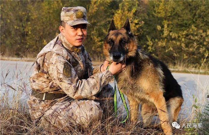 海军战士和军犬一同退役，离别时这一幕破防了